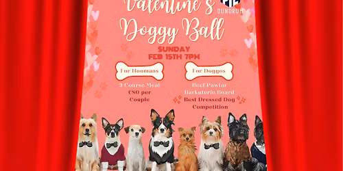 Doggy Valentine's Ball 2026 at PYE Dundrum