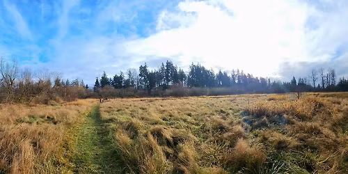 CWA Habitat Restoration Work Party