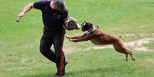 V\u00fdcvikov\u00fd v\u00edkend 26.-28.9.26