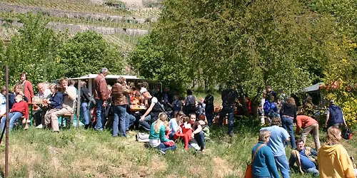 Weinfest und Erntedank