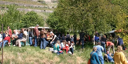 Weinfest und Erntedank