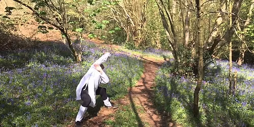 Form Practice Session