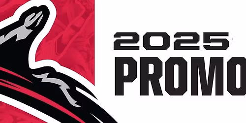 Reading Fightin Phils at Richmond Flying Squirrels at CarMax Park