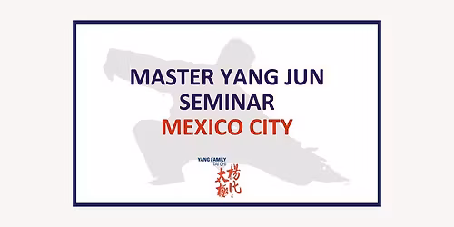 Master Yang Jun Seminar - Mexico City
