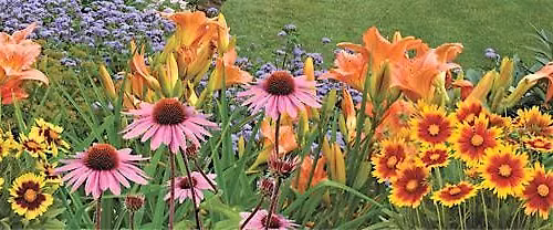 Naturally Southern: Creating a Garden with Native Plants
