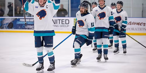 Wisconsin Windigo vs. Anchorage Wolverines