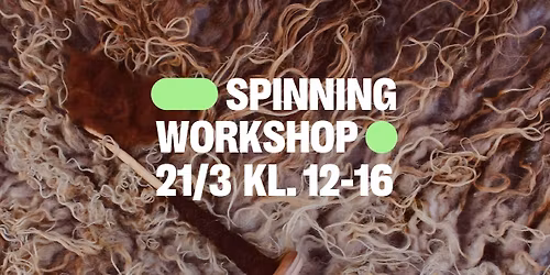 Wool spinning workshop 
