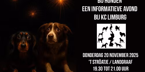 Vuurwerk & Angst bij Honden
