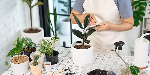 Houseplant 101 Workshop