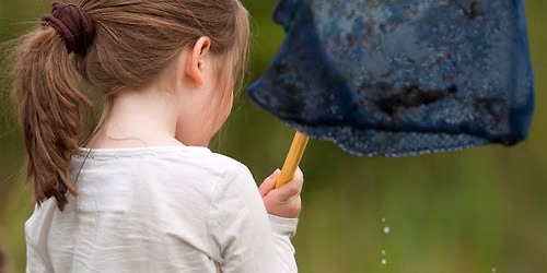 Victoria Park Wildlife Watch: Pond Dipping (August 2026)