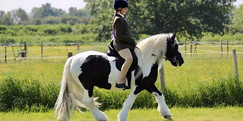 Thurrock Riding Club show