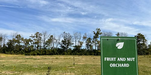 Whole Farm Diversity: Perennials, Pollinators and Community: Farmer Field Day