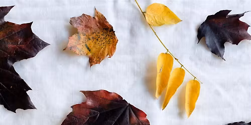 Natural Dye Workshop - Autumn Leaves: EcoPrinting on Silk