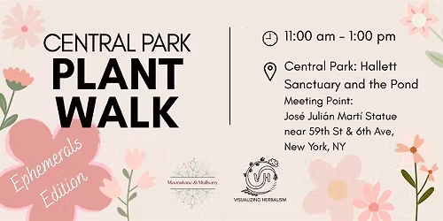 Central Park Plant Walk - Spring Ephemerals Edition