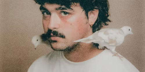 Les Matins des Grands Soirs : Velours Velours. Le Zaricot.