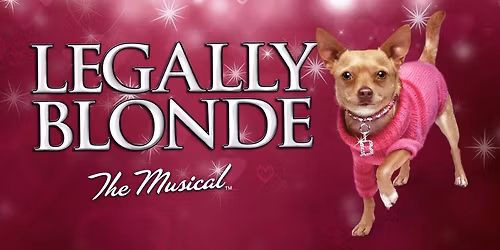 Legally Blonde - DMTC Main Stage