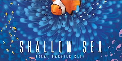 Learn to Play - Shallow Sea