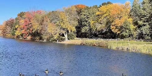 CT BYOPBDD Course 1: Louisa Lake Stepping into MA