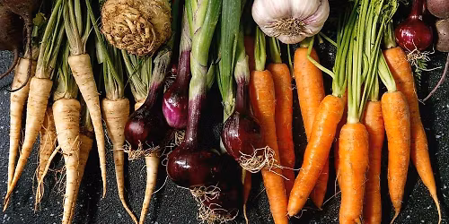 Pre-Thanksgiving Pop-Up Market