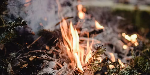 DIY Pinecone Firestarters