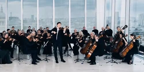 Academy of St. Martin in the Fields in Erlangen