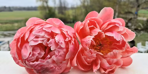 Pionk\u00e4rlek (FULLT)