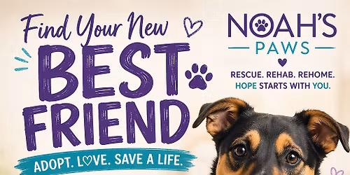 Adoption Event - Lewisville Petsmart 