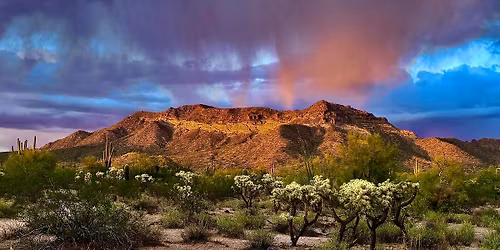 Scarface Mountain Trail Run 10k, 5k, 1mi Fun Run