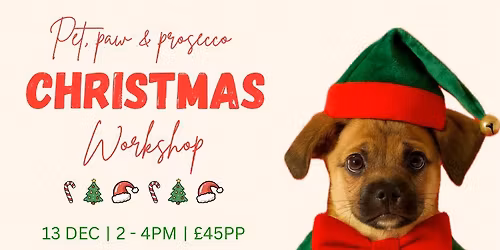 Festive, paint, Paws and Prosecco 