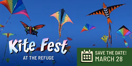 Kite Fest