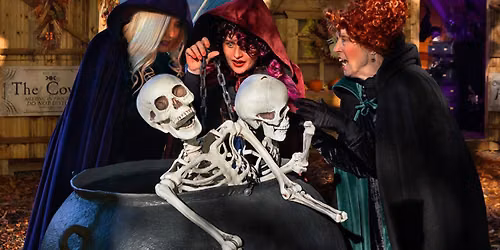 Hocus Pocus Halloween