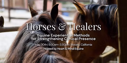 Horses and Healers | Santa Rosa