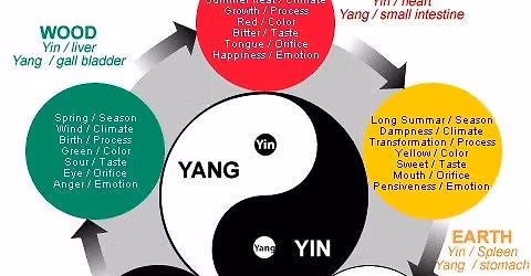 The 5 Seasons of TCM Series