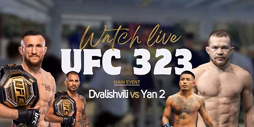 UFC 323 LIVE AT LILYWORLD!