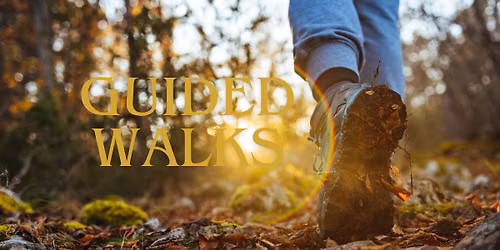 Guided Walk: A Visit to the Monk's Retreat