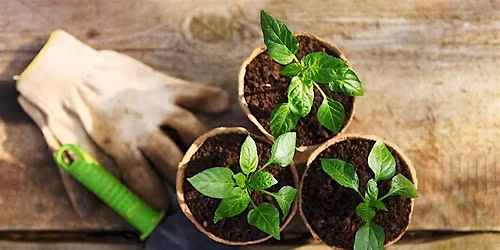 Is it Thyme for Herbs?