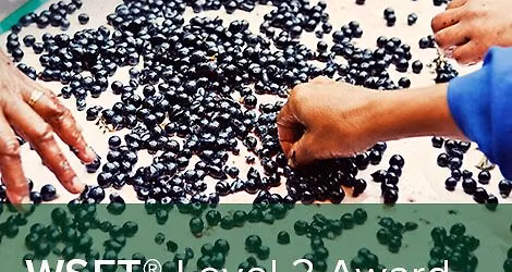 WSET Level 3 Award in Wines Bucharest