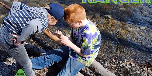 Junior Ranger - Creek Explorers 