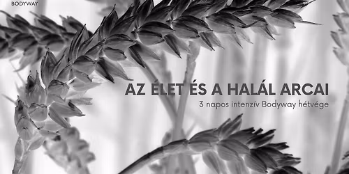 Az \u00c9let \u00e9s a Hal\u00e1l arcai - 3 napos intenz\u00edv h\u00e9tv\u00e9ge a Bodyway \u00d6nismeret Egyes\u00fclet szervez\u00e9s\u00e9ben