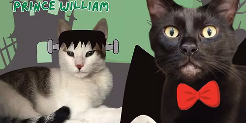 Monster Mash @ ASAP Cats - Adoption Event & Yard Sale