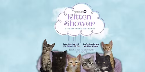 AniMeals Kitten Shower
