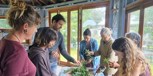 TINCTURES\/ALCOHOL EXTRACTS- Herbal Medicine Making Series- NIMBIN