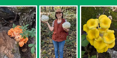 Adult DIY: Mushroom Foraging