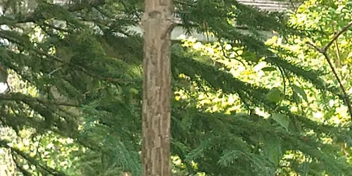 Butterfly House Spring Fundraiser  BRAT FRY and BAKE SALE @ Miesfelds 4811 Venture Dr. -Sheboygan WI