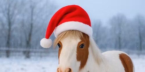 Mikul\u00e1s a P\u00e1kozdi Di\u00f3skert Lovard\u00e1ban \ud83c\udf85\ud83d\udc34