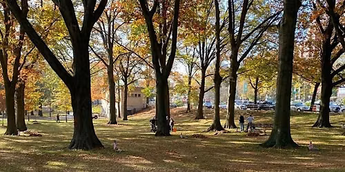 Memorial Grove Volunteer Clean Up Event