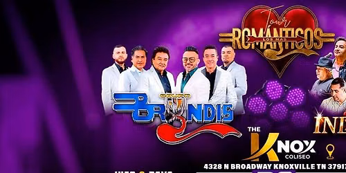 BRYNDIS, INDUSTRIA DEL AMOR & MAS