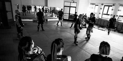 NIAGARA Summer Camp VI!