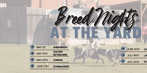 Breed Night - Labradors