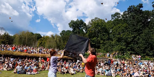 36th Annual Insectival